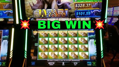 big 5 safari slot machine online/